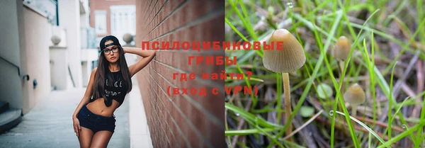герыч Алзамай