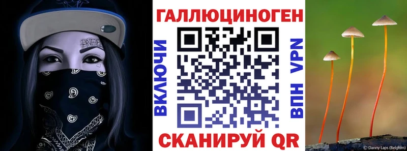 blacksprut tor  Борзя  Псилоцибиновые грибы Magic Shrooms 
