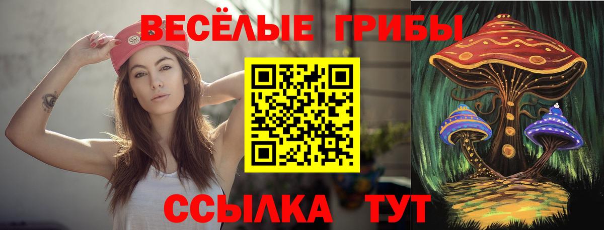 Борзя  Галлюциногенные грибы GOLDEN TEACHER  Псилоцибиновые грибы Psilocybine cubensis  Вход с VPN 